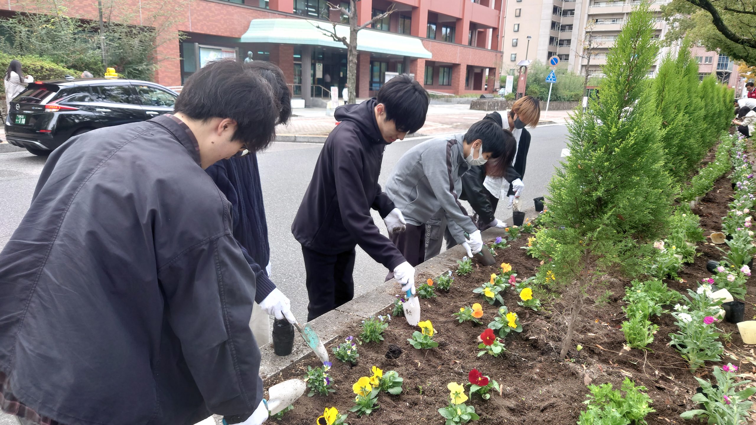 秋の花壇に彩りを添えて　～みんなで花植え作業～