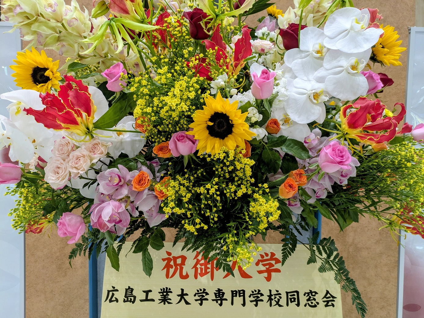 ご入学おめでとうございます